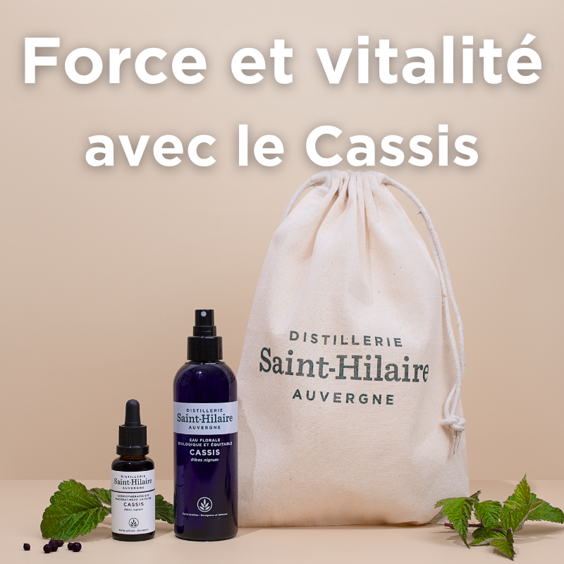 Force et vitalié Cassis